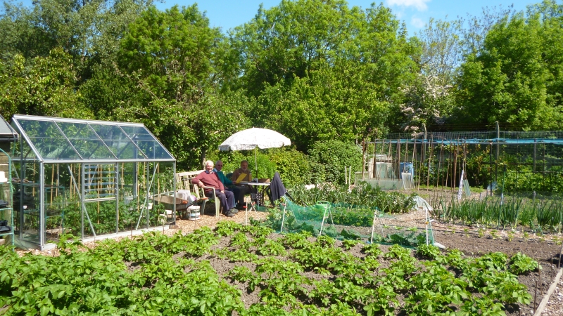 Aberystwyth Allotments